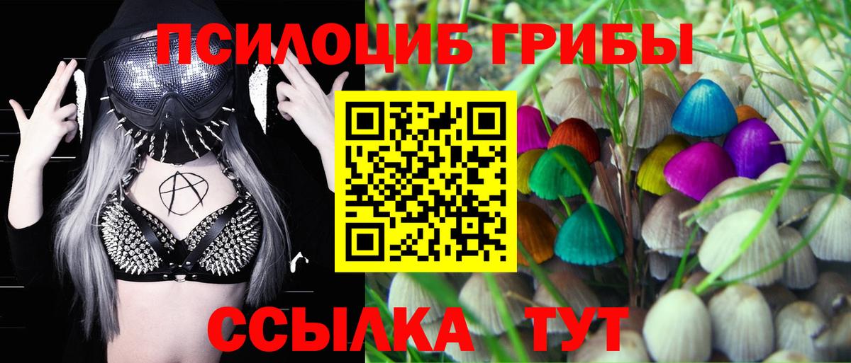 Псилоцибиновые грибы GOLDEN TEACHER Славгород